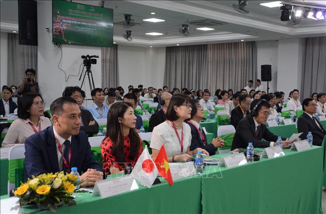 Đại biểu tham dự Hội thảo. Ảnh: Văn Dũng-TTXVN