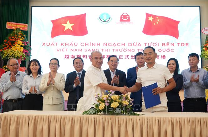 Signing of coconut purchase contract between Vietnamese and Chinese businesses. VNA Photo: Huỳnh Phúc Hậu