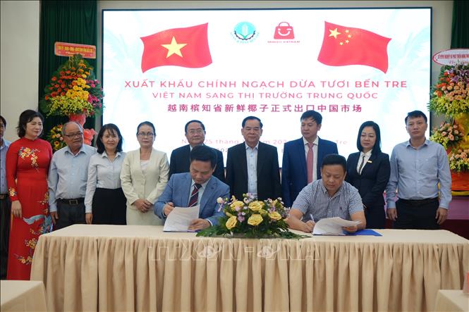 Vietnamese and Chinese businesses sign contract on purchasing fresh coconuts. VNA Photo: Huỳnh Phúc Hậu