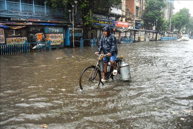 Cảnh ngập lụt sau những trận mưa lớn do ảnh hưởng của bão Dana tại Kolkata, Ấn Độ, ngày 25/10/2024. Ảnh: ANI/TTXVN