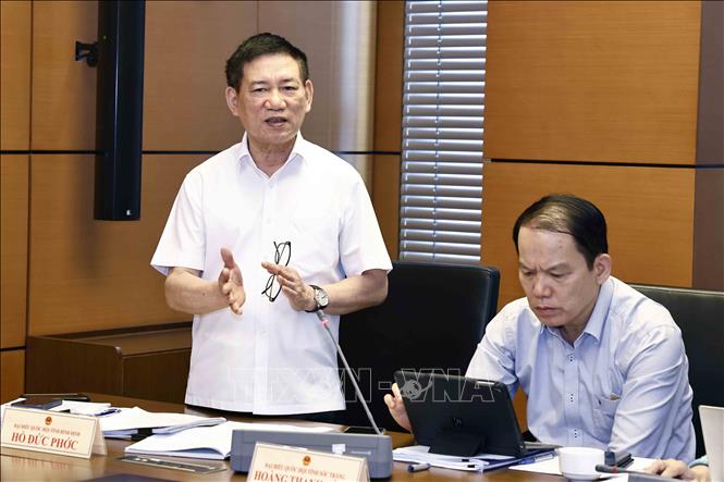 Phó Thủ tướng Hồ Đức Phớc, Đại biểu Quốc hội tỉnh Bình Định phát biểu ý kiến. Ảnh: Doãn Tấn - TTXVN