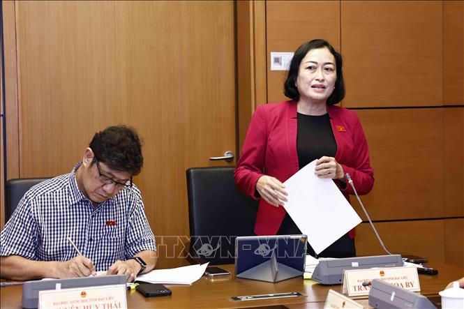Đại biểu Quốc hội tỉnh Bạc Liêu Trần Thị Hoa Ry phát biểu ý kiến. Ảnh: Doãn Tấn - TTXVN