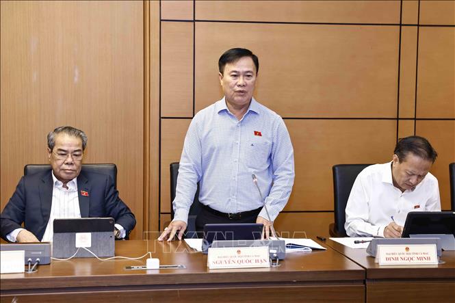 Đại biểu Quốc hội tỉnh Cà Mau Nguyễn Quốc Hận phát biểu ý kiến. Ảnh: Doãn Tấn - TTXVN