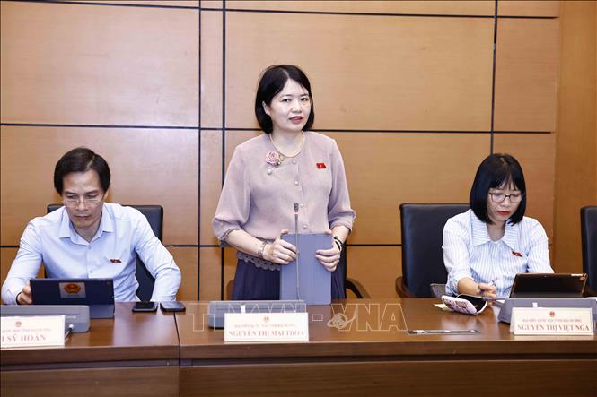 Đại biểu Quốc hội tỉnh Hải Dương Nguyễn Thị Mai Thoa phát biểu ý kiến. Ảnh: Doãn Tấn - TTXVN