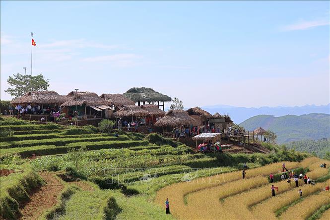 Các lán chòi lá là điểm nghỉ chân của người dân và khách du lịch tại Miền Đồi. Ảnh: Thanh Hải - TTXVN 