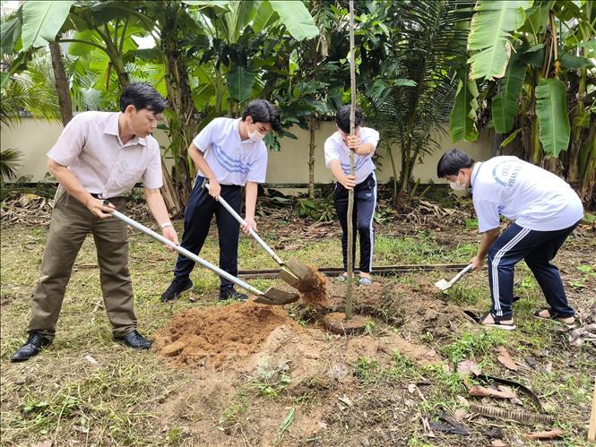 Bến Tre vận động nguồn lực thực hiện đề án trồng cây xanh - Ảnh
