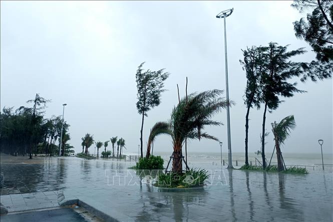 Strong winds in Da Nang province. VNA Photo