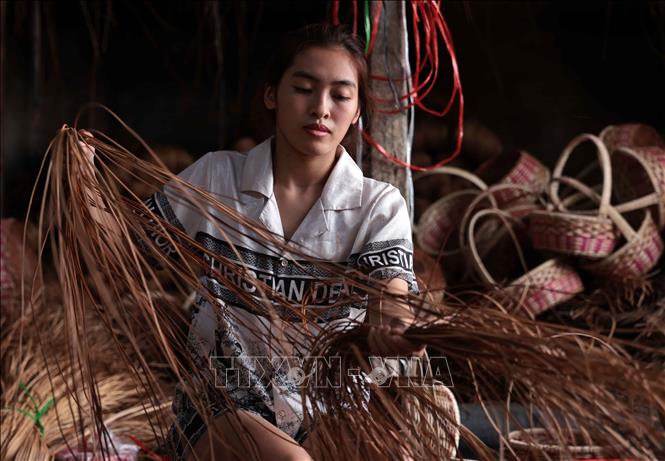 Những bó guột to được tách ra thành những bó nhỏ để chuốt. Ảnh: Trần Việt - TTXVN