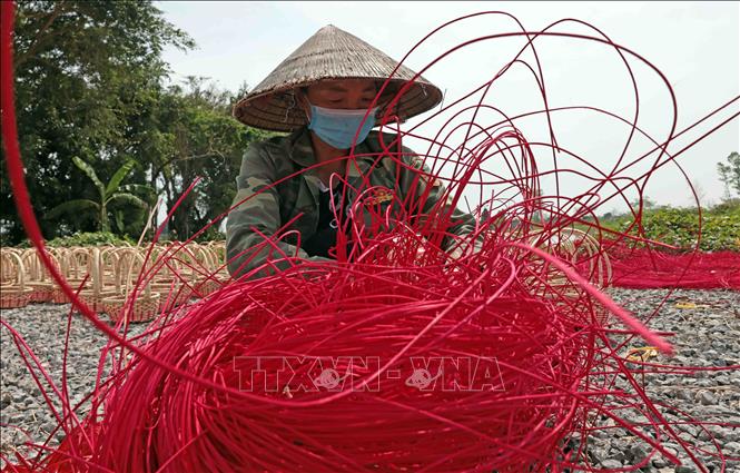 Những sợi guột được nhuộm và phơi khô. Ảnh: Trần Việt - TTXVN