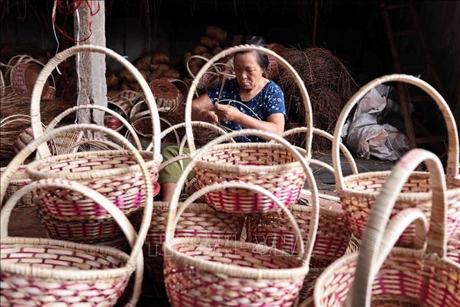 Sự khéo léo của các nghệ nhân nơi đây đã tạo nên hàng nghìn mẫu mã là những vật dụng như: Rổ, rá, bàn, ghế, khay, thùng đựng đồ…. Ảnh: Trần Việt - TTXVN