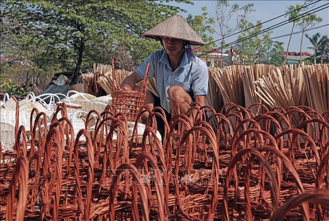 Gia đình anh Nguyễn Văn Đức ở thôn Thượng, xã Phú Túc sản xuất giỏ đựng hàng cung cấp cho thị trường. Ảnh: Trần Việt - TTXVN