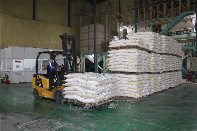 Rice for exports at a factory of the Phuoc Thanh II Co. Ltd in the Mekong Delta province of Long An. VNA Photo: Minh Hưng