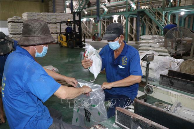 Packaging rice for export at a factory of the Phuoc Thanh II Co. Ltd in the Mekong Delta province of Long An. VNA Photo: Minh Hưng