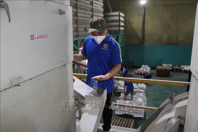 Rice export hits 1.98 billion USD in the first nine months of this year, accounting for 42.86% of country's total export turnover to the Philippines in the period. VNA Photo: Minh Hưng