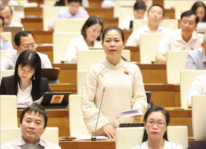 Đại biểu Quốc hội tỉnh Thái Bình Nguyễn Thị Thu Dung phát biểu. Ảnh: Phương Hoa – TTXVN
