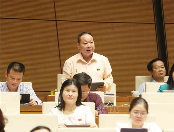Đại biểu Quốc hội tỉnh Hà Giang Tráng A Dương phát biểu. Ảnh: Phương Hoa – TTXVN