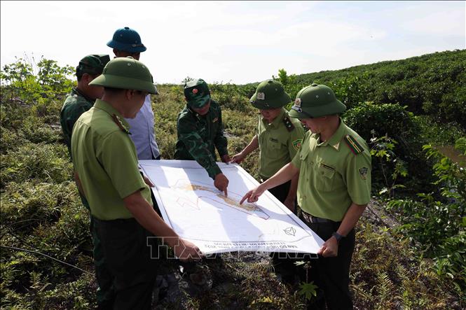 Lực lượng kiểm lâm phối hợp cùng bộ đội biên phòng tỉnh Ninh Bình tổ chức đi tuần tra khu rừng ngập mặn ở huyện Kim Sơn. Ảnh: Vũ Sinh - TTXVN