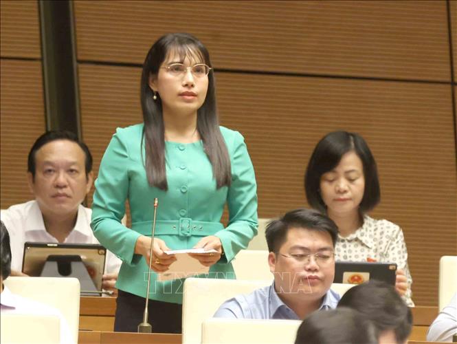 Đại biểu Quốc hội tỉnh Kiên Giang Châu Quỳnh Giao phát biểu. Ảnh: Phương Hoa - TTXVN