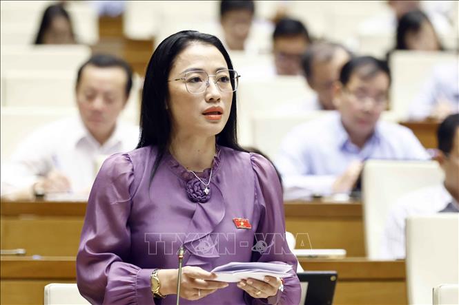 Đại biểu Quốc hội tỉnh Thái Bình Trần Khánh Thu phát biểu ý kiến. Ảnh: Doãn Tấn - TTXVN