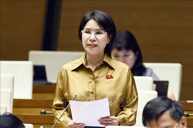 Đại biểu Quốc hội TP Hà Nội Trần Thị Nhị Hà phát biểu ý kiến. Ảnh: Doãn Tấn - TTXVN