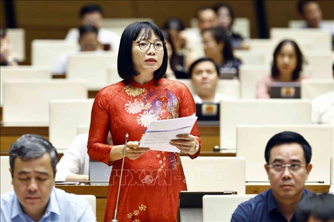Đại biểu Quốc hội tỉnh Hải Dương Nguyễn Thị Việt Nga phát biểu ý kiến. Ảnh: Doãn Tấn - TTXVN