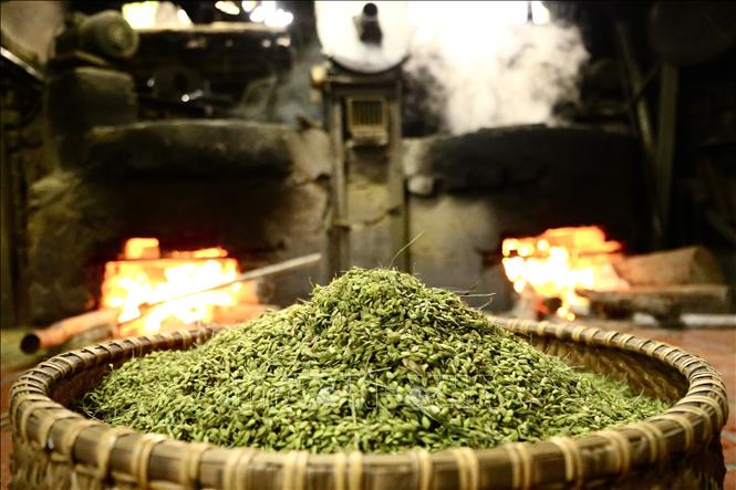 Com is made from young glutinous rice. VNA Photo