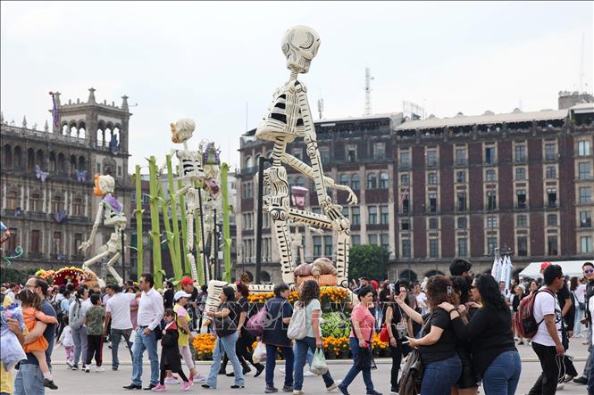 Quang cảnh lễ hội. Ảnh: Phi Hùng - phóng viên TTXVN tại Mexico