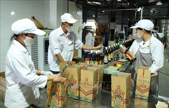 The Cat Hai fish sauce product of the Cat Hai Seafood Service And Processing JSC is exported to the Philippines and other countries. VNA Photo