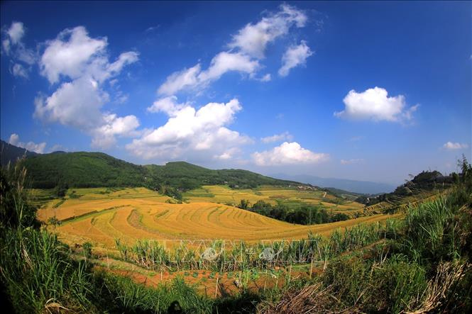 Ruộng bậc thang trải dài trên các sườn đồi của xã Miền Đồi (huyện Lạc Sơn, Hòa Bình). Ảnh: Trọng Đạt-TTXVN