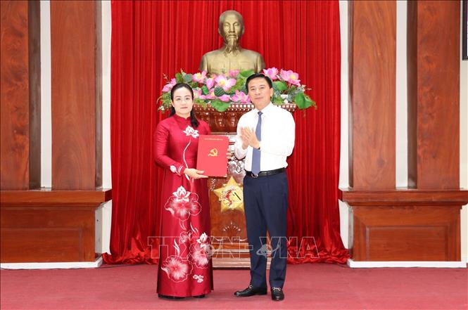 Đồng chí Đỗ Trung Hưng, Ủy viên Trung ương Đảng, Phó Trưởng Ban Tổ chức Trung ương trao quyết định cho bà Nguyễn Hải Trâm. Ảnh: Hữu Chí – TTXVN
