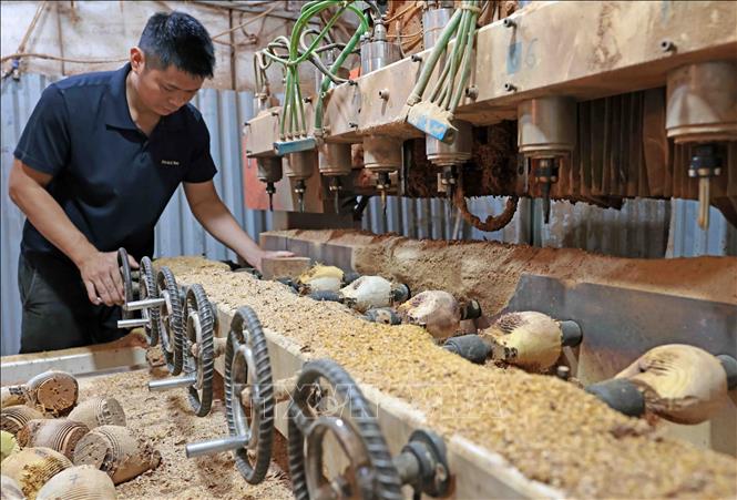 Duy Sang woodturning workshop in Nhi Khe village, Thuong Tin invests in machinery to mass-produced roughly shaped wooden blocks. VNA Photo: Trần Việt
