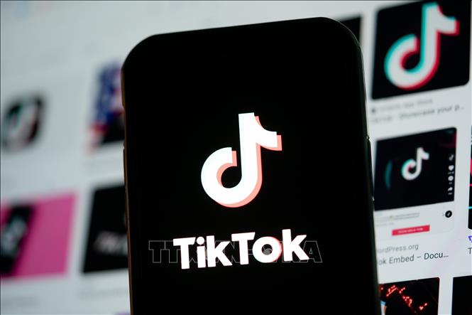 Biểu tượng TikTok trên màn hình điện thoại di động. Ảnh: THX/TTXVN