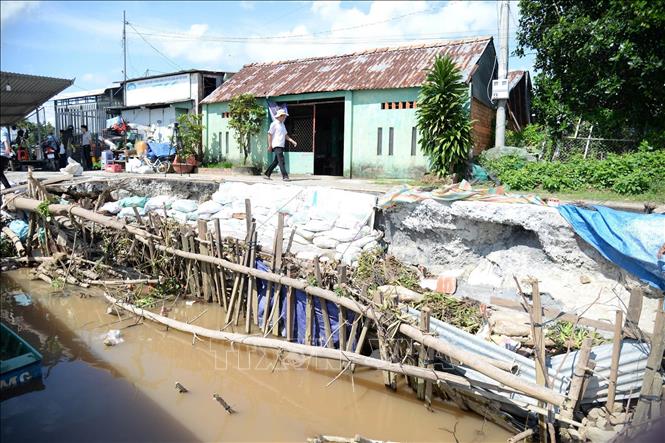 Người dân kè tạm bờ sông Tiền trong khi chờ nhà nước đầu tư kinh phí xử lý hiện tượng sạt lở. Ảnh: TTXVN phát