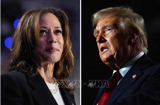 Phó Tổng thống Mỹ Kamala Harris, ứng viên của đảng Dân chủ (trái) và cựu Tổng thống Donald Trump, ứng viên của đảng Cộng hòa. Ảnh: AP/TTXVN