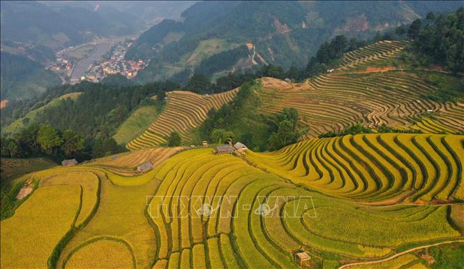 Rừng, núi, mây trời và ruộng bậc thang như hòa vào nhau tạo nên một bức tranh thiên nhiên vừa nên thơ vừa hùng vĩ. Ảnh: Tuấn Anh - TTXVN 