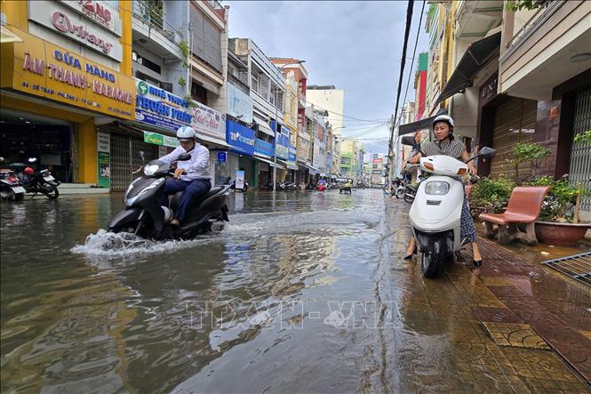 Triều cường dâng gây ngập tuyến đường Đề Thám, Phường 2, thành phố Cà Mau (Cà Mau) vào sáng ngày 7/11/2024. Ảnh: Kim Há - TTXVN