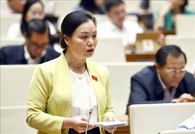 Đại biểu Quốc hội tỉnh Bà Rịa - Vũng Tàu Huỳnh Thị Phúc phát biểu. Ảnh: Doãn Tấn - TTXVN