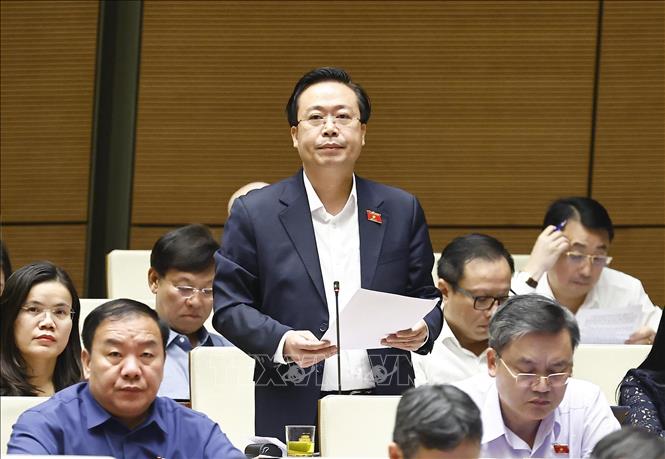NA deputy Nguyen Dai Thang from the northern province of Hung Yen speaks at the session. VNA Photo