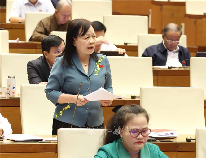 Đại biểu Quốc hội tỉnh Đồng Tháp Nguyễn Thị Mai Hoa phát biểu. Ảnh: Phương Hoa – TTXVN