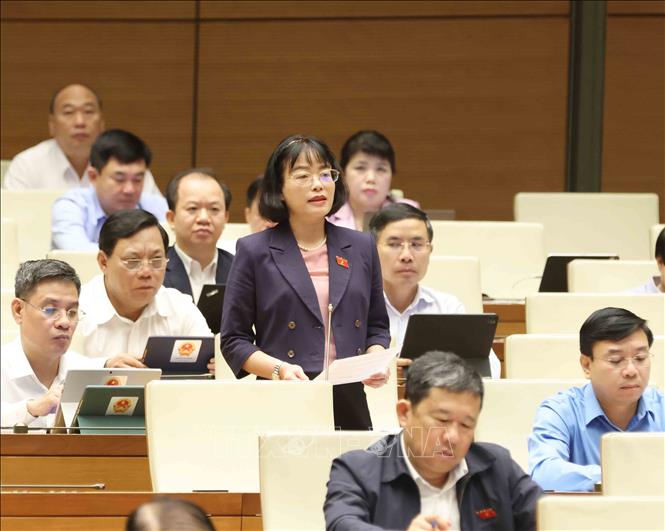 Đại biểu Quốc hội tỉnh Gia Lai Nguyễn Thị Mai Phương phát biểu. Ảnh: Phương Hoa – TTXVN