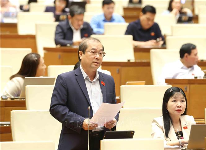 Đại biểu Quốc hội tỉnh An Giang Trình Lam Sinh phát biểu. Ảnh: Phương Hoa – TTXVN