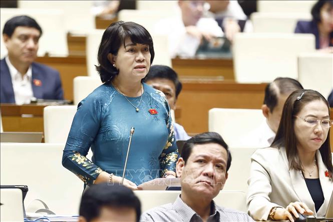 Đại biểu Quốc hội tỉnh Bến Tre Nguyễn Thị Lệ Thủy phát biểu. Ảnh: Doãn Tấn - TTXVN