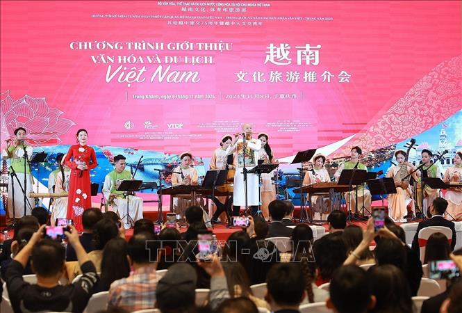 An art performance introducing Vietnam's traditional music. VNA Photo: Dương Giang