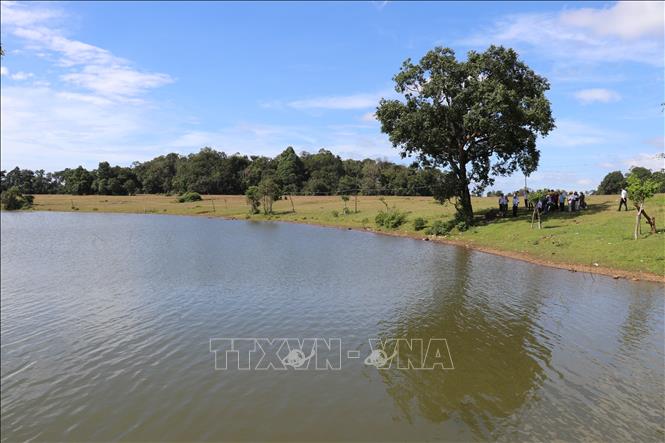 Trảng cỏ Bù Lạch là điểm đến du lịch sinh thái giàu tiềm năng của huyện Bù Đăng. Ảnh: Nhật Bình - TTXVN