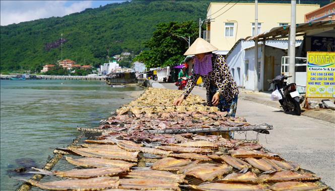 Người dân xã đảo Lại Sơn, huyện Kiên Hải, Kiên Giang phơi cá khô. Ảnh: Văn Sĩ - TTXVN                                  