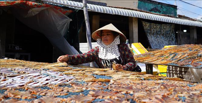 Người dân xã đảo Lại Sơn, huyện Kiên Hải, Kiên Giang phơi cá khô. Ảnh: Văn Sĩ - TTXVN                                   