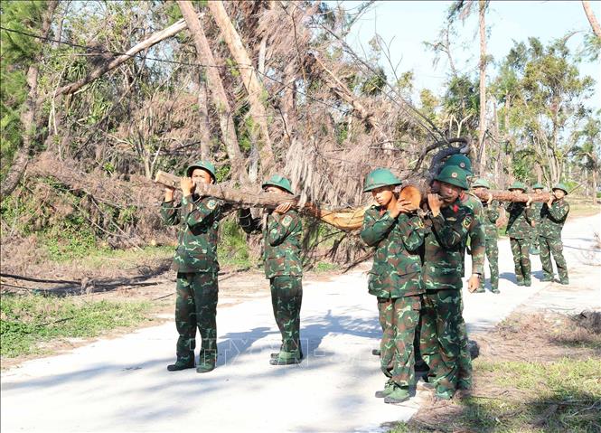 Bộ đội tiểu đoàn Đảo Cô Tô chặt, tỉa dọn dẹp cây gãy đổ giúp giao thông thuận lợi tại các điểm du lịch ở xã Đồng Tiến. Ảnh: Trọng Đức - TTXVN