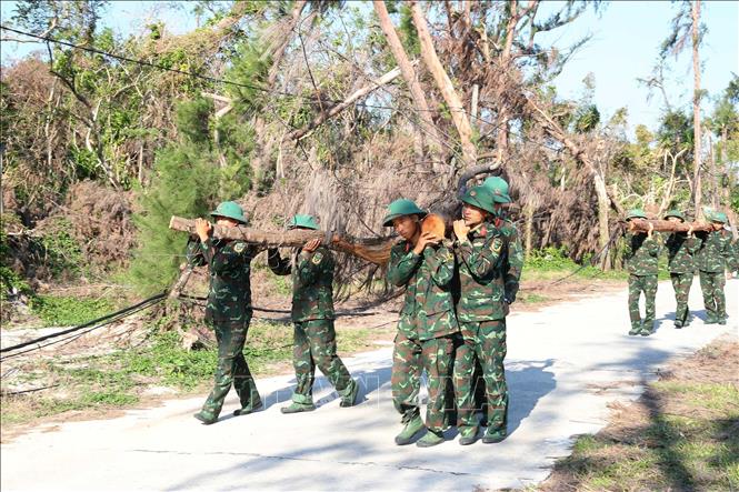Bộ đội tiểu đoàn Đảo Cô Tô chặt, tỉa dọn dẹp cây gãy đổ giúp giao thông thuận lợi tại các điểm du lịch ở xã Đồng Tiến. Ảnh: Trọng Đức - TTXVN