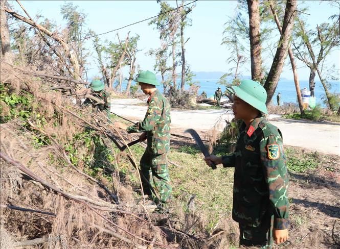 Bộ đội tiểu đoàn Đảo Cô Tô chặt, tỉa cây gãy đổ giúp giao thông thuận lợi tại các điểm du lịch ở xã Đồng Tiến. Ảnh: Trọng Đức - TTXVN