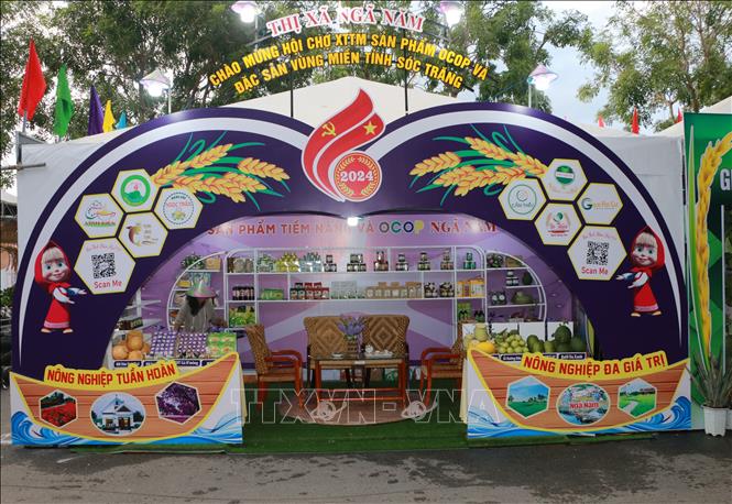 Hội chợ diễn ra đến ngày 15/11/2024, với quy mô trên 350 gian hàng, trong đó có 250 gian hàng thương mại tổng hợp của các doanh nghiệp, cơ sở sản xuất kinh doanh trong và ngoài tỉnh. Ảnh: Tuấn Phi - TTXVN